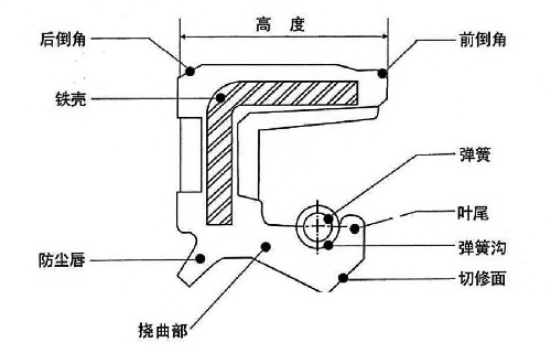 旋轉油封(骨架油封)結構圖